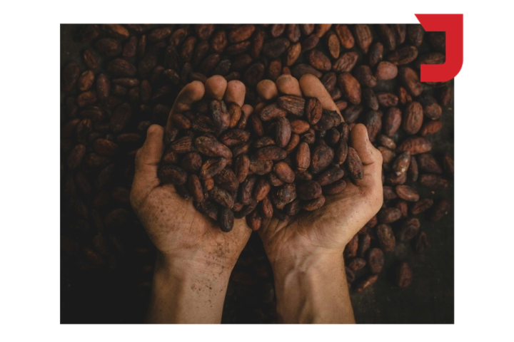 How one social enterprise stirred up the entire chocolate industry