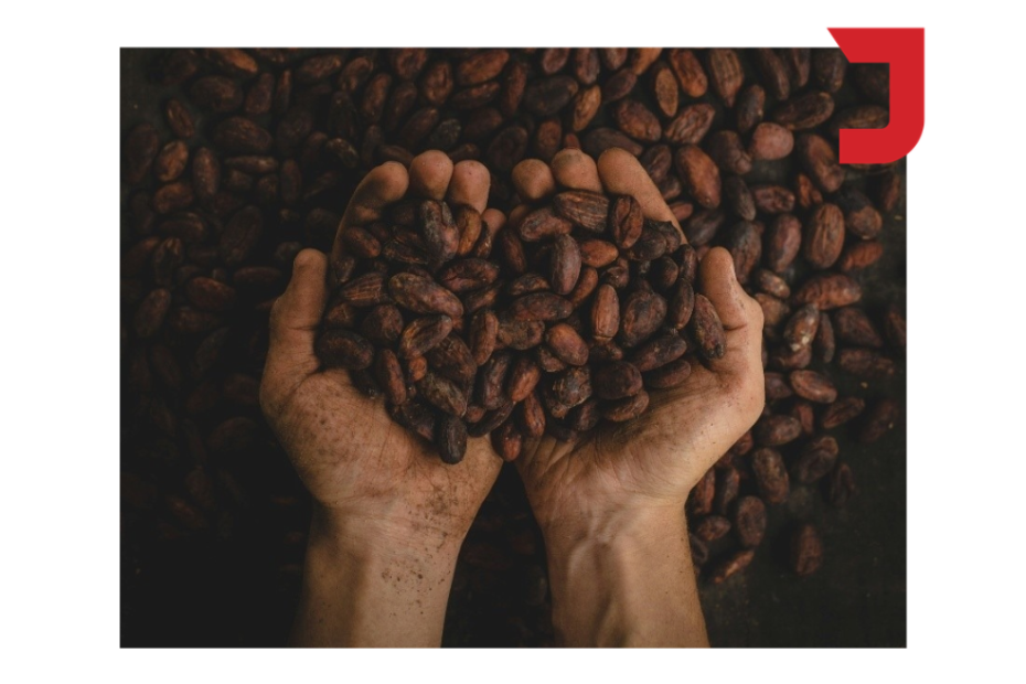 How one social enterprise stirred up the entire chocolate industry